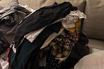 Sale Photo Thumbnail #12