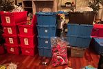 Sale Photo Thumbnail #14