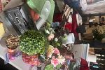 Sale Photo Thumbnail #9