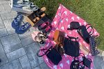 Sale Photo Thumbnail #3