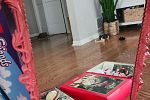Sale Photo Thumbnail #13