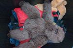 Sale Photo Thumbnail #24