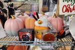 Sale Photo Thumbnail #22