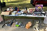 Sale Photo Thumbnail #16