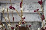 Sale Photo Thumbnail #68