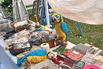 Sale Photo Thumbnail #21