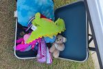 Sale Photo Thumbnail #13