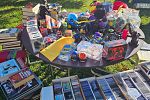 Sale Photo Thumbnail #10
