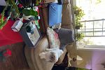 Sale Photo Thumbnail #8