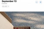 Sale Photo Thumbnail #32
