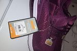 Sale Photo Thumbnail #32