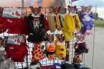 Sale Photo Thumbnail #26