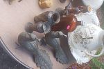 Sale Photo Thumbnail #11
