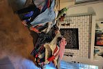 Sale Photo Thumbnail #20