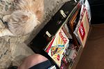 Sale Photo Thumbnail #23