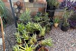 Sale Photo Thumbnail #18