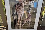 Sale Photo Thumbnail #25