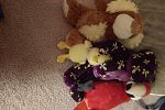 Sale Photo Thumbnail #9