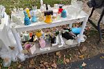 Sale Photo Thumbnail #26