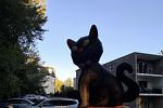 Sale Photo Thumbnail #24