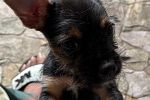 Sale Photo Thumbnail #2
