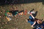 Sale Photo Thumbnail #37