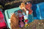 Sale Photo Thumbnail #12