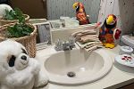 Sale Photo Thumbnail #35