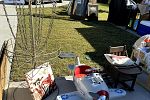 Sale Photo Thumbnail #7
