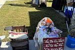 Sale Photo Thumbnail #8