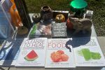 Sale Photo Thumbnail #22