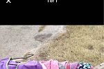 Sale Photo Thumbnail #36