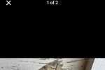 Sale Photo Thumbnail #24