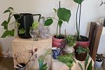 Sale Photo Thumbnail #4
