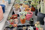 Sale Photo Thumbnail #8