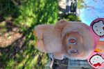 Sale Photo Thumbnail #8