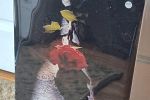 Sale Photo Thumbnail #2