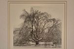 Sale Photo Thumbnail #29
