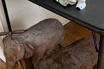 Sale Photo Thumbnail #21