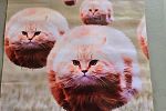 Sale Photo Thumbnail #21