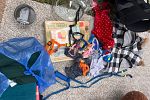 Sale Photo Thumbnail #31