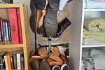 Sale Photo Thumbnail #18