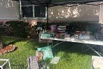 Sale Photo Thumbnail #2