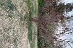 Sale Photo Thumbnail #19