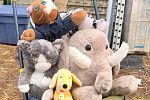 Sale Photo Thumbnail #10