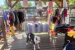 Sale Photo Thumbnail #5