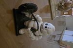 Sale Photo Thumbnail #14