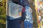 Sale Photo Thumbnail #15