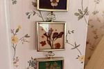 Sale Photo Thumbnail #146