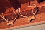 Sale Photo Thumbnail #453